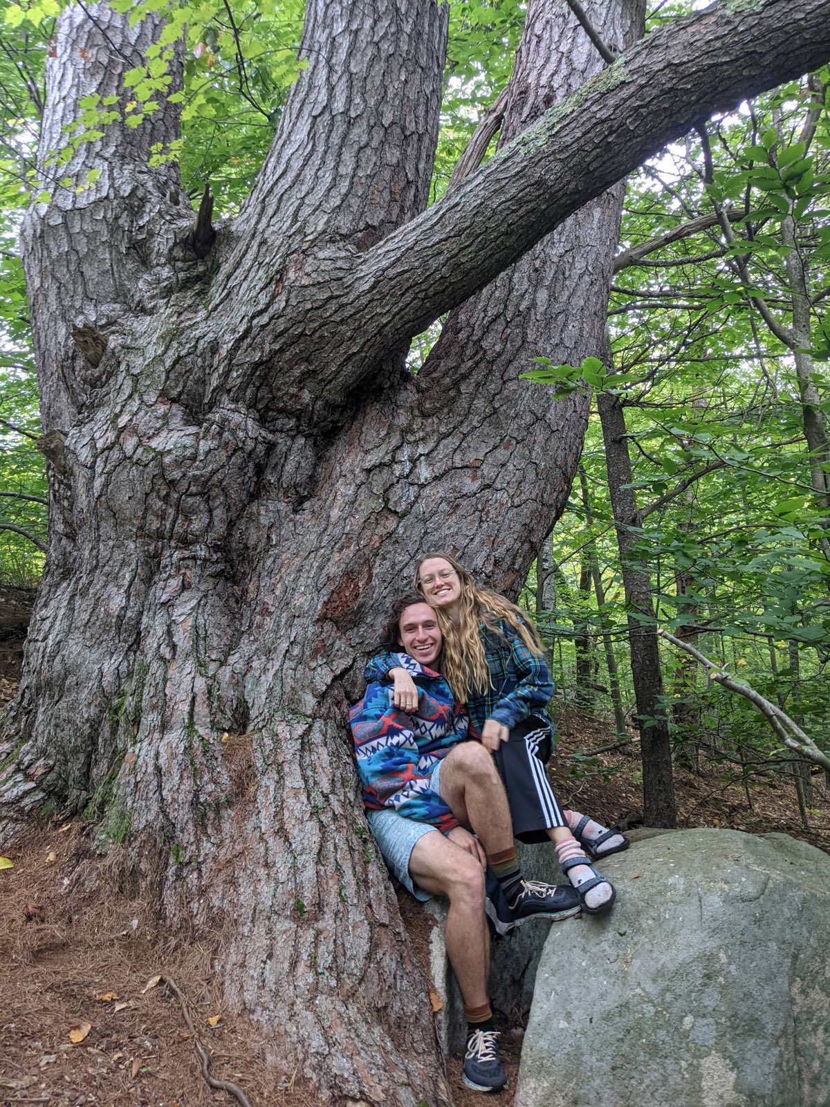 The Big Tree: Natural History at Camp Birch Hill - Camp Birch Hill